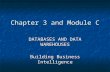 Chapter 3 and Module C DATABASES AND DATA WAREHOUSES Building Business Intelligence.