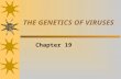 THE GENETICS OF VIRUSES Chapter 19. CHARACTERISTICS OF VIRUSES  Small (20nm)  Composed of RNA or DNA and protein  Capsid- protein coat that encloses.