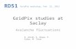 GridPix studies at Saclay Avalanche fluctuations D. Attié, A. Chaus, P. Colas, M. Titov GridPix workshop, Feb. 22, 2012.