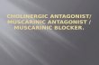 Classify & describe cholinergic antagonists  Explain actions, therapeutic uses & adverse reactions of cholinergic antagonists.