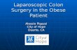 Laparoscopic Colon Surgery in the Obese Patient Alessio Pigazzi City of Hope Duarte, CA.