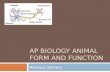 AP BIOLOGY ANIMAL FORM AND FUNCTION Nervous System.
