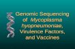 Genomic Sequencing of Mycoplasma hyopneumoniae, Virulence Factors, and Vaccines.