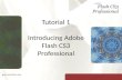 Tutorial 1 Introducing Adobe Flash CS3 Professional.