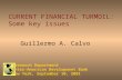 CURRENT FINANCIAL TURMOIL: Some key issues Guillermo A. Calvo Research Department Inter-American Development Bank New York, September 10, 2001.