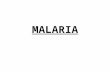 MALARIA. MALARIA Agent: Plasmodium sp. P. falciparum P. vivax P. ovale P. malariae Vector: Anopheline Reservoir: Man.