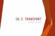 18.5 TRANSPORT Blood and Circulation. Mammalian Transport system  The transport system in humans is typical of all mammals. Materials are transported.