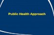 Public Health Approach. Screening/Public Health Approach Public Education Screening for at risk individuals: –Blood Sugar/ HbA1c –Lipids –Blood pressure.