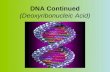 DNA Continued (Deoxyribonucleic Acid). DNA is wrapped tightly around histones and coiled tightly to form chromosomes See p. 332.