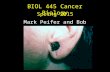 BIOL 445 Cancer Biology Mark Peifer and Bob Duronio Spring 2015.