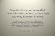 Genetic dissection of medial habenula–interpeduncular nucleus pathway function in mice Yuki Kobayashi, Yoshitake Sano, Elisabetta Vannoni, Hiromichi Goto,