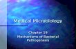 Medical Microbiology Chapter 19 Mechanisms of Bacterial Pathogenesis.