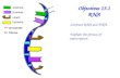 Lesson Overview Lesson OverviewFermentation Objectives 13.1 RNA -Contrast RNA and DNA. -Explain the process of transcription.