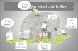 An elephant is like... Is this an elephant? What can an elephant tell us about God?