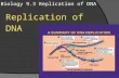 Biology 9.3 Replication of DNA Replication of DNA.