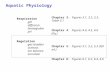 Aquatic Physiology Respiration gill diffusion hemoglobin pH Regulation gas bladder osmosis ion balance excretion Chapter 3: Figures 3.1, 3.2, 3.3, Table.