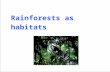 Rainforests as habitats. What are rainforests? Rainforests are very dense, warm, wet forests. They are habitats for millions of plants and animals. Rainforests.