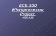 ECE 300 Microprocessor Project MSP 430. Group Members Demetric Banahene David Fish Zack Pannell.