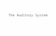 The Auditory System. Gross anatomy of the auditory and vestibular systems.