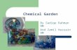 Chemical Garden By Sadiqe Rahman 9M And Zamil Hussain 9M.