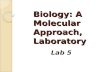 Biology: A Molecular Approach, Laboratory Lab 5. Business Attendance Handouts.