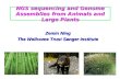 NGS sequencing and Genome Assemblies from Animals and Large Plants Zemin Ning The Wellcome Trust Sanger Institute.