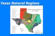 Texas Natural Regions. Extinction Rates  Background (natural) rate of extinction  Mass extinction  Adaptive radiations Number of families of marine.