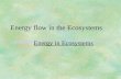 Energy flow in the Ecosystems Energy in Ecosystems.