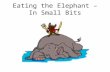 Eating the Elephant – In Small Bits. Implementing a National Strategy – Higher Education in Ireland Dr. Richard Thorn Emeritus President, Institute of.