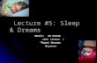 Lecture #5: Sleep & Dreams Music: #9 Dream John Lennon “Sweet Dreams” Beyonce.