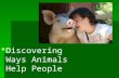 Discovering Ways Animals Help People. Common Core/Next Generation Science Standards Addressed!   WHST.6 ‐ 8.1- Write arguments to support claims.