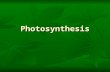 Photosynthesis Energy and Life Nearly every activity in modern society depends on Energy…think about it. Nearly every activity in modern society depends.