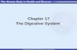 Chapter 17 The Digestive System. The Digestive System Alimentary canal or GI tract –Extends from mouth to anus—9 m (29 feet) –Involved in digestion, absorption.