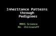 Inheritance Patterns through Pedigrees MMHS Science Mr. Chitraroff.