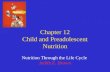 Chapter 12 Child and Preadolescent Nutrition Nutrition Through the Life Cycle Judith E. Brown.