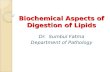 Biochemical Aspects of Digestion of Lipids Dr. Sumbul Fatma Department of Pathology.