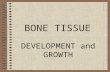 BONE TISSUE DEVELOPMENT and GROWTH. FUNCTIONS Support/Movement Protection Mineral reservoir Site of blood cell production Storage of fat.