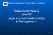 1 National Association of Surety Bond Producers Commercial Surety Level III Large Account Underwriting & Management.