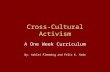 Cross-Cultural Activism A One Week Curriculum By: Ashlei Flemming and Felix K. Seda.