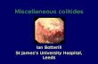 Miscellaneous colitides Ian Botterill St James’s University Hospital, Leeds.