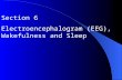 Section 6 Electroencephalogram (EEG), Wakefulness and Sleep.