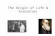 The Origin of Life & Evolution. The Origin of Life Heterotroph Hypothesis: 1 st organisms were heterotrophs Conditions –Raw materials: H 2, NH 3, CH 4,