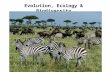 Evolution, Ecology & Biodiversity. This course covers: - Population Genetics - Evolution - Diversity of life - Ecology - major theme of the course is.