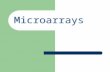 OUTLINE Microarrays Processing Microarray Data – K- Means Clustering – Hierarchical Clustering – SOM.