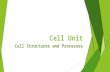 Cell Unit Cell Structures and Processes. Cell Processes & Structure9/17/2015  Learning Target:To understand how and why the cell is the basic unit of.