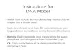 Instructions for DNA Model Model must include two complementary strands of DNA shaped into a double helix Each strand must be at least 10 nucleotides/base.