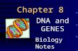 Chapter 8 DNA and GENES Biology Notes. Information Storage in Cells Instructions for cell functions are stored in the nucleus within the chromosomes Chromosomes.