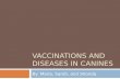 VACCINATIONS AND DISEASES IN CANINES By: Maria, Sarah, and Shonda.