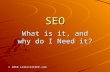 SEO What is it, and why do I Need it? © 2010 123interFACE.com.