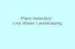 Plant Selection: Low Water Landscaping. Plant Selection for Low Water Landscapes - Historically, plants selected from a limited “palette” for specific.